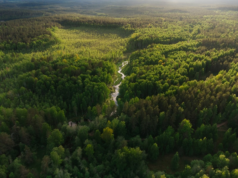 Natural landscape representing measurable climate value